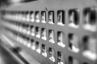 九游娱乐(jiuyou)官网-高校运动训练科学管理模式创新实践，运动训练科研管理工作要求