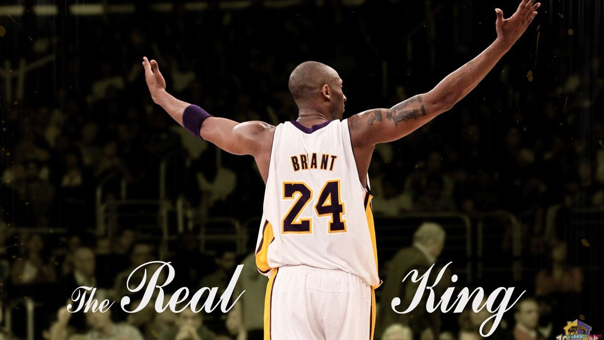 史上最年轻“冠军射手”的崛起之路，最年轻的射箭冠军